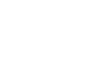 ‘Paardenkracht’
 Light & Art Installation